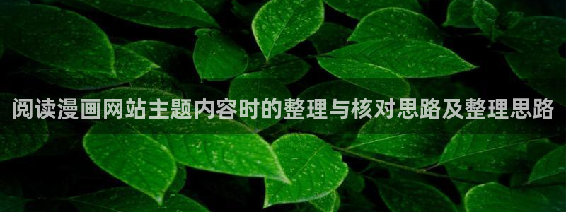 羞羞漫画热门作品排行:阅读漫画网站主题内容时的整理与核对思路及整理思路